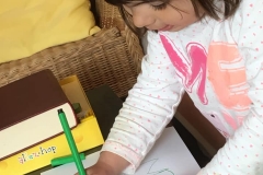 56879392_2516307598383919_3310938903497670656_n