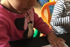 55439601_2489645441050135_8968648899602415616_n
